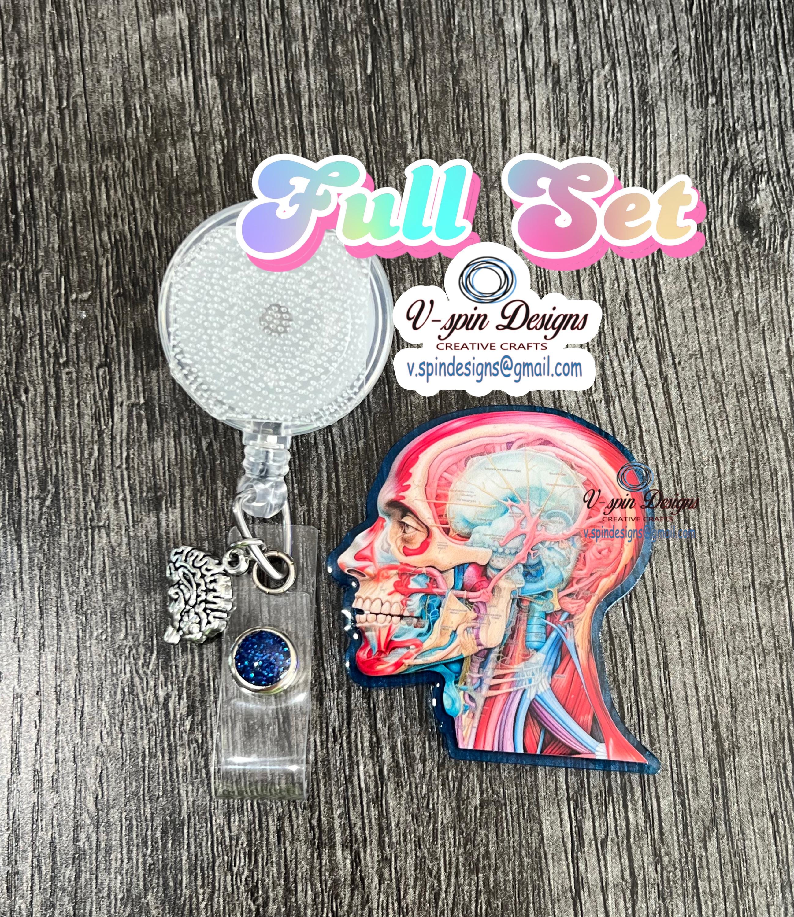 Anatomical Head Badge Reel | Retractable Acrylic ID Holder for Medical Students