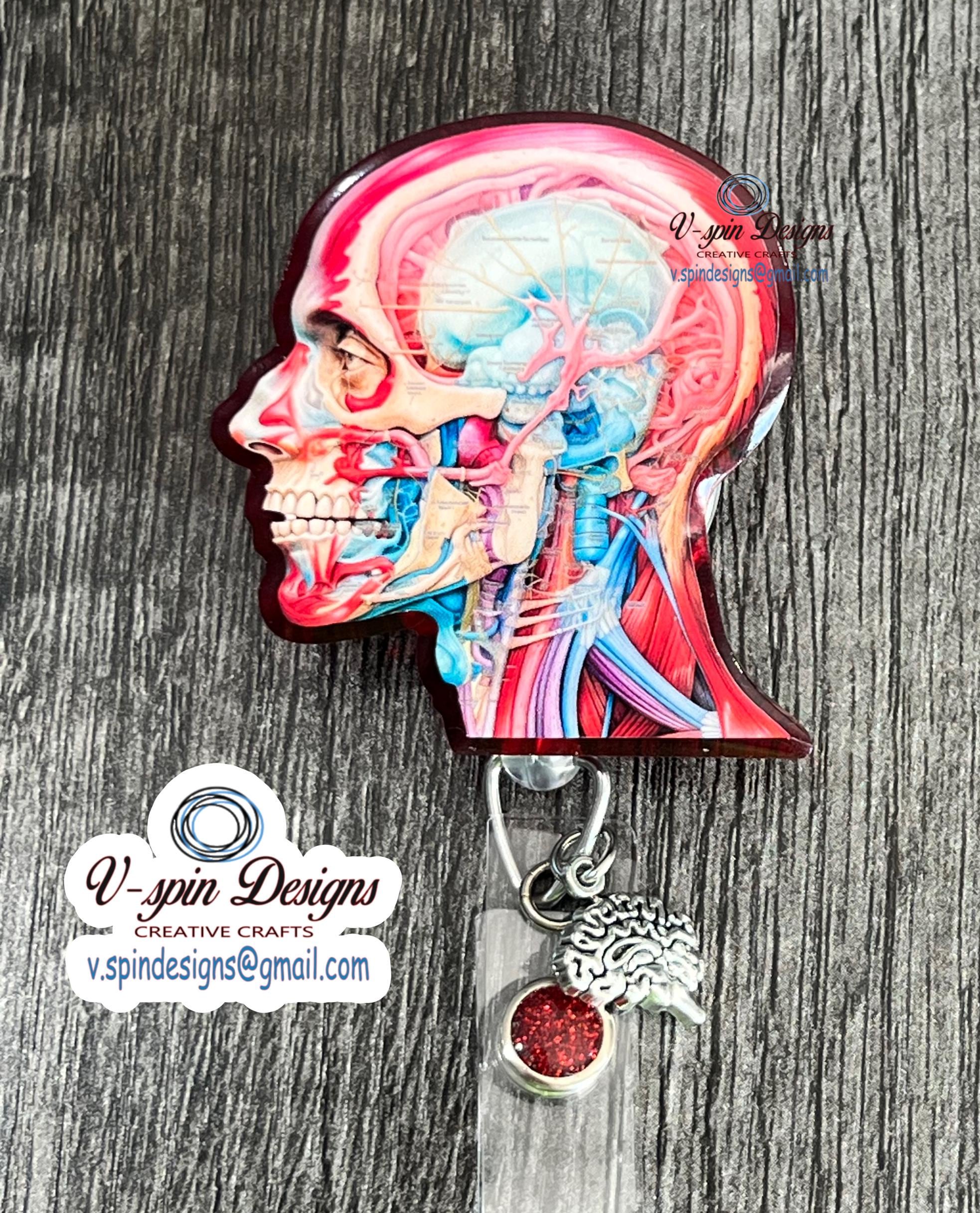 Anatomical Head Badge Reel | Retractable Acrylic ID Holder for Medical Students