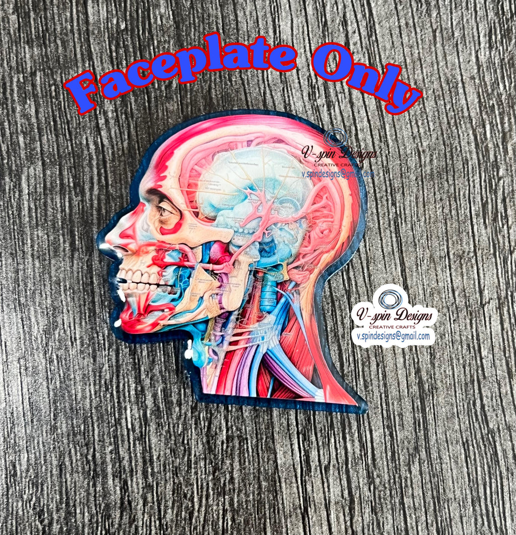 Anatomical Head Badge Reel | Retractable Acrylic ID Holder for Medical Students