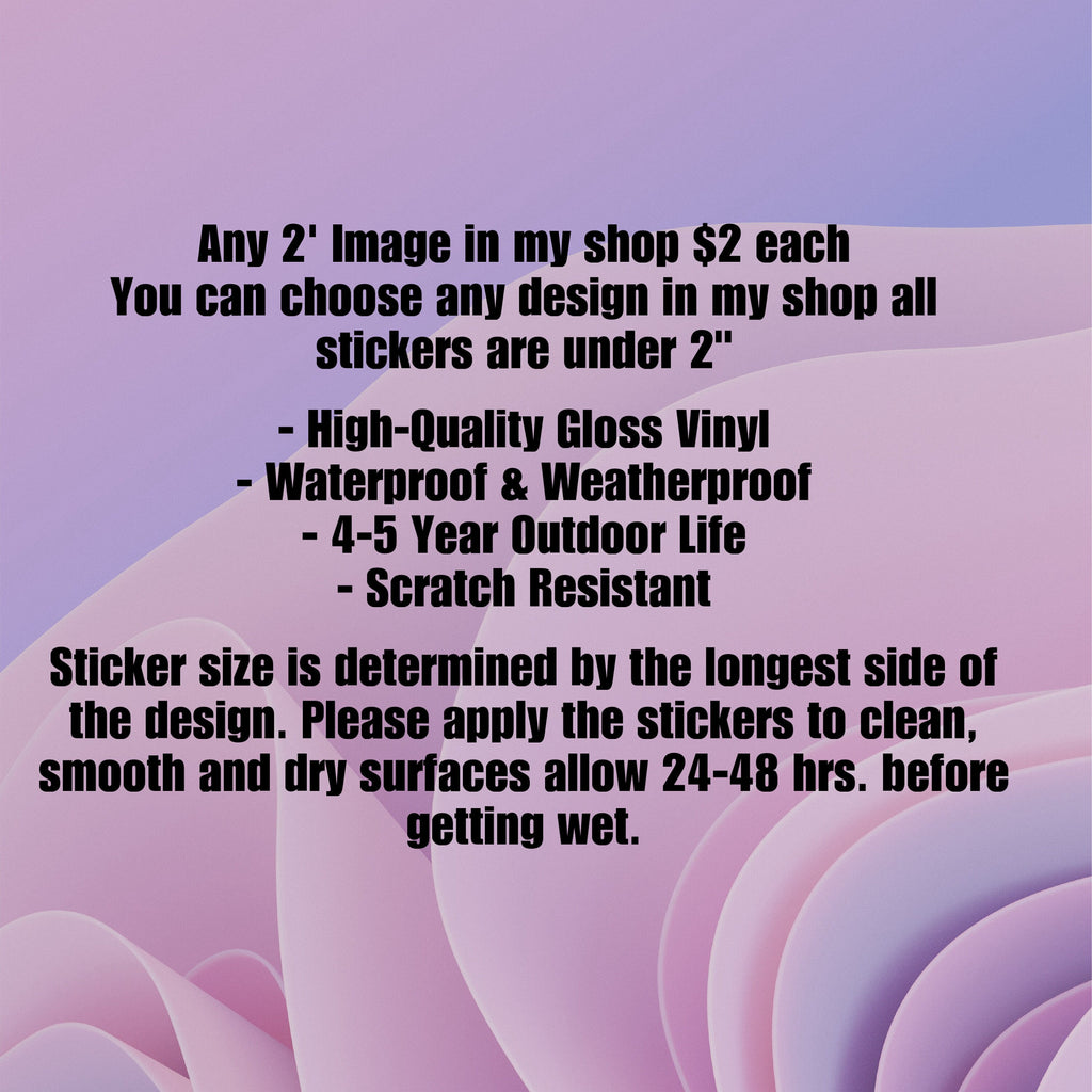 Any Sticker 2", Sticker Bundles, Vinyl Stickers for Laptops, Water Bottles/Tumblers/Planners