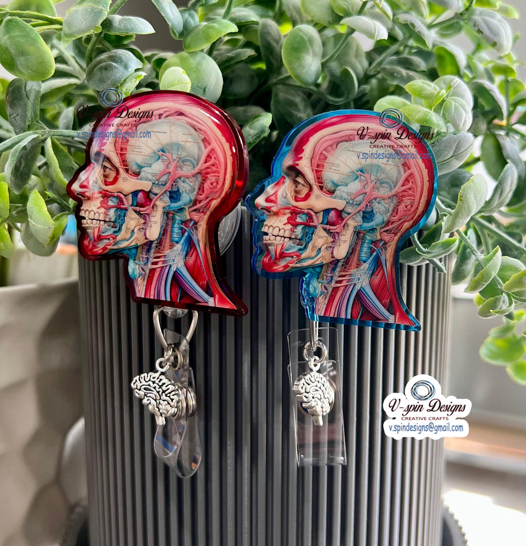 Anatomical Head Badge Reel | Retractable Acrylic ID Holder for Medical Students
